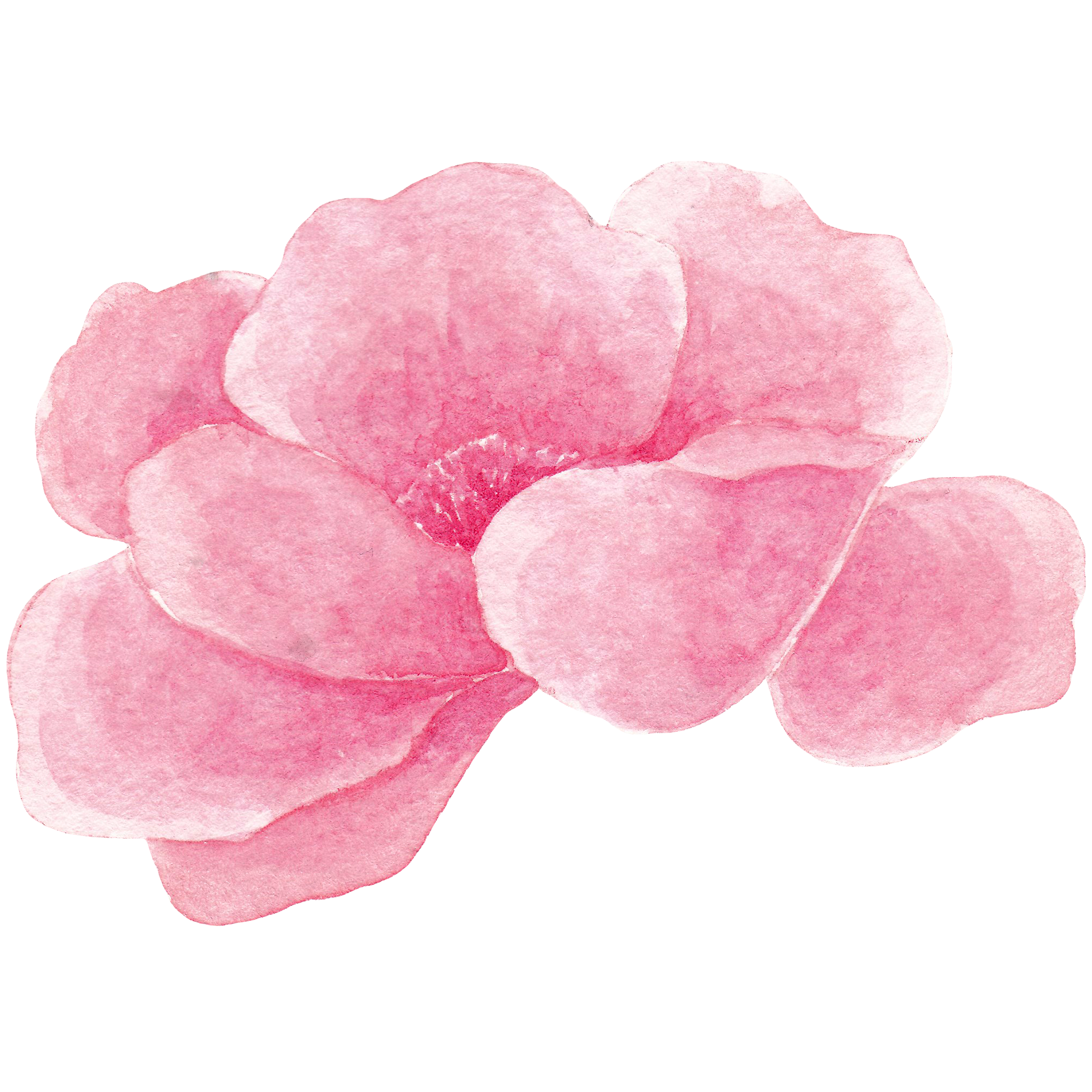 flower decoration